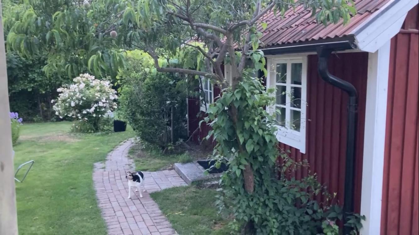 Feriehus Isans